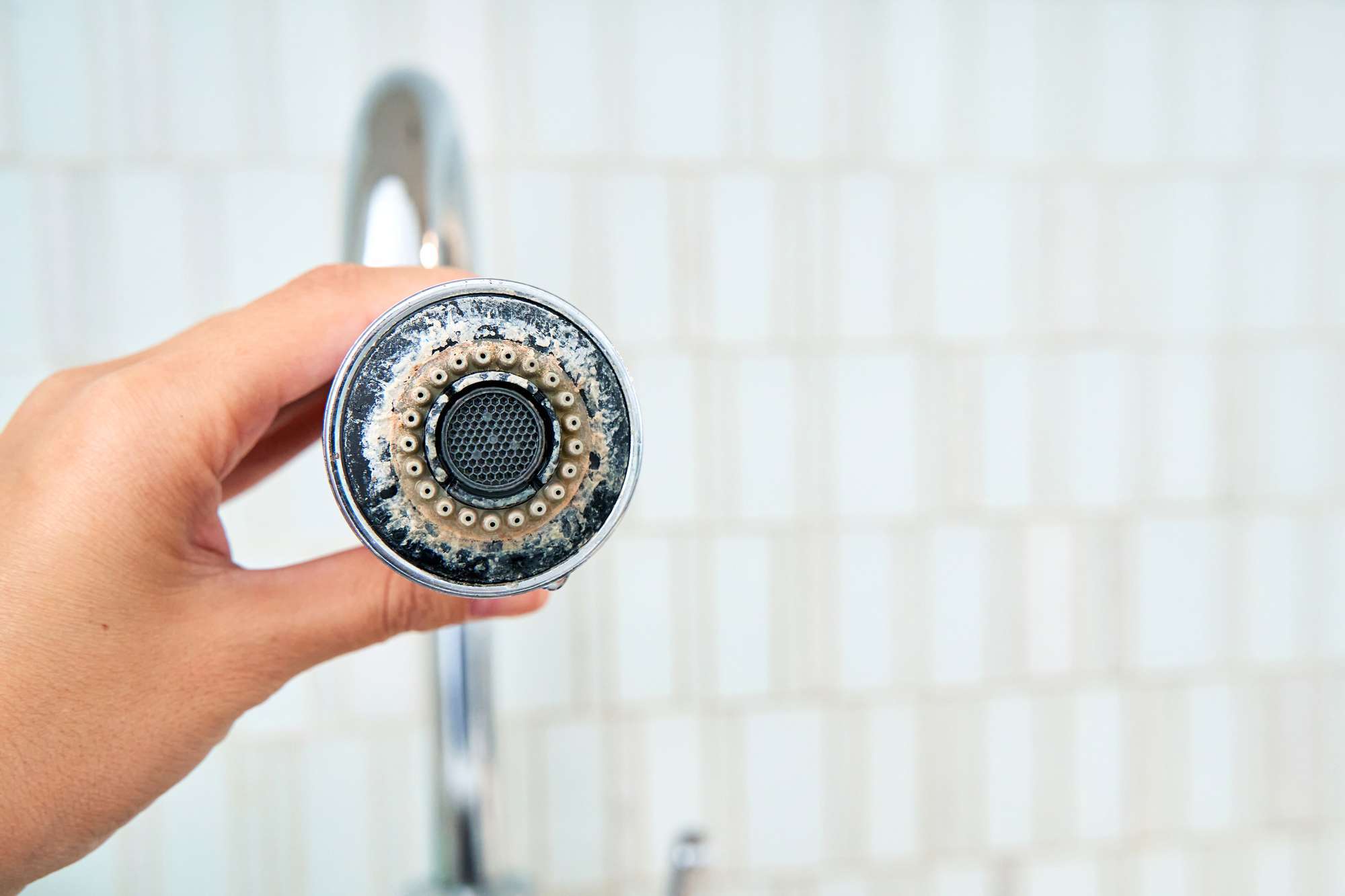 A person holding a hardwater residue-covered shower water fixture in a bathroom.